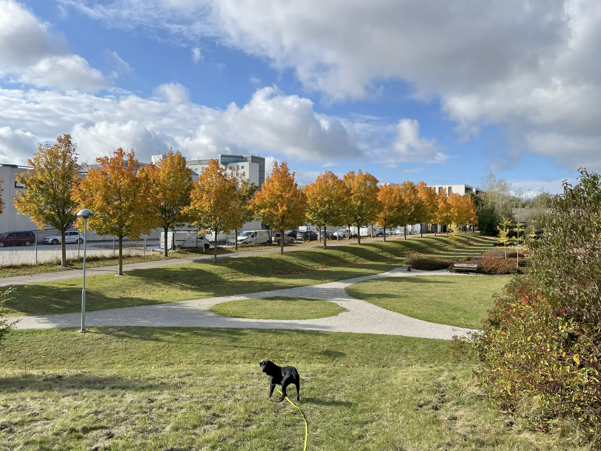 Modern lägenhetshus